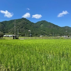 古民家カフェで太極拳を習おう！