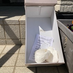 正装用パンプス　の画像