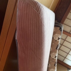 カインズのマット　の画像
