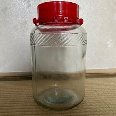 梅酒づくり　瓶