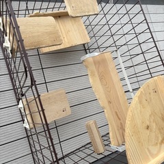 小動物 ステップステージの画像