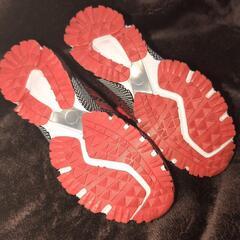 ランニングシューズ？の画像