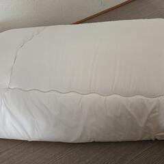 アイリスプラザ 洗える敷き布団の画像