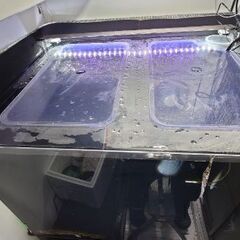 2面黒　アクリル水槽　90cm奥75の画像