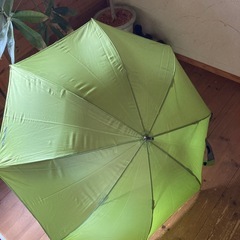 【新品未使用】傘　70センチ