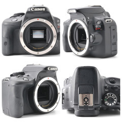 スマホ転送 ♥️ Canon EOS Kiss X7 キヤノン 一眼レフカメラの画像