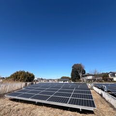 除草メンバー募集（急募）の画像