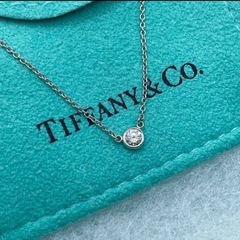 極美品✨ ケース ✨ ティファニー ネックレス バイザヤード PT 0.2ctの画像