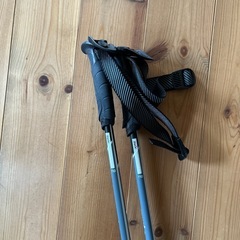 スキーストックの画像