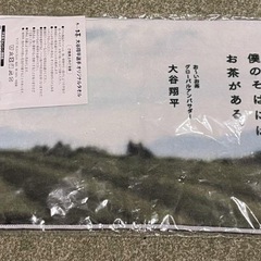 大谷翔平選手のタオル２枚の画像