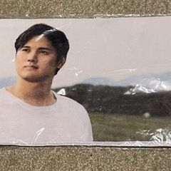 大谷翔平選手のタオル２枚の画像