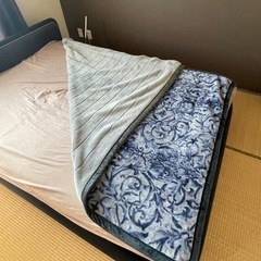 【引渡し決定】西川の毛布！ゆったりダブルベッドサイズ！の画像