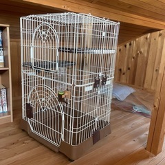 猫ゲージ