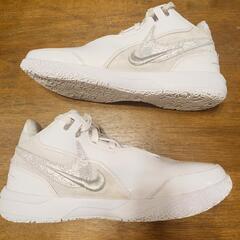 NIKE ナイキ バスケットシューズ レブロン FJ1567-102 27.5の画像