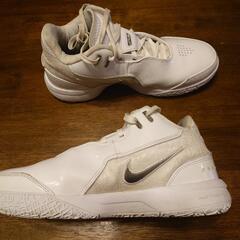 NIKE ナイキ バスケットシューズ レブロン FJ1567-102 27.5の画像