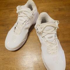 NIKE ナイキ バスケットシューズ レブロン FJ1567-102 27.5の画像