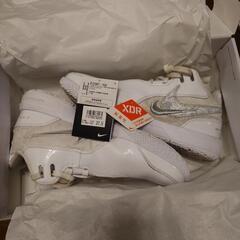 NIKE ナイキ バスケットシューズ レブロン FJ1567-102 27.5の画像