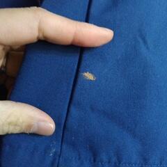 佐久市保育園指定の園児服 3/29以降お渡しの画像