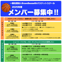 BraveBeeswithバスケットボールスクールの画像