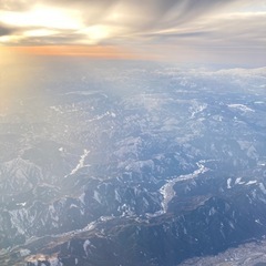 ヒーリングライアーハープ
の画像