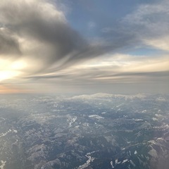 ヒーリングライアーハープ
の画像