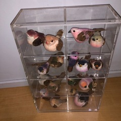 GY0317小鳥　文鳥フィギュアコレクション　プラスチック棚付き