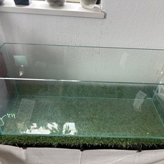 gex 60cm スリム水槽　ちょいかけあり
の画像