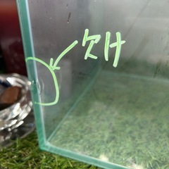 gex 60cm スリム水槽　ちょいかけあり
の画像