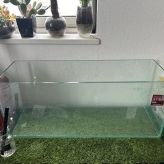 gex 60cm スリム水槽　ちょいかけあり
の画像
