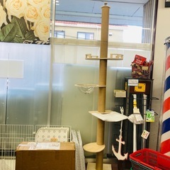 ⭐️未使用品⭐️キャットタワー　4段