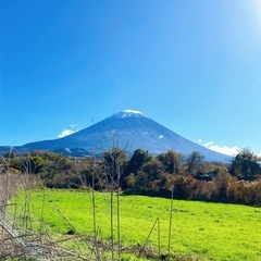 友達