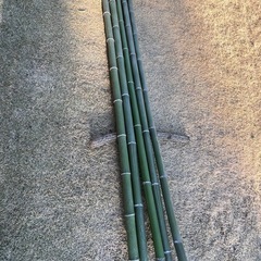 竹
