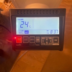 お譲り先決まりましたの画像