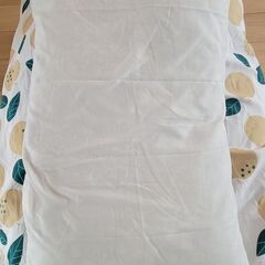 《本日限り値下げ》ふとんの西川 一式セットの画像