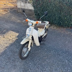 993.動画あり　ホンダ　リトルカブ　4速　FI 原付　バイク　50cc 車体の画像