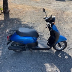 999.動画あり　ホンダ　AF67トゥデイ　原付　バイク　50cc 車体　埼玉の画像