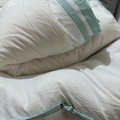 新品未使用品 大豆繊維掛け布団セット 2枚合わせの画像