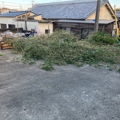 竹あげます