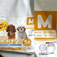 猫　【お値下げ】マナーウェア　Lサイズ　おむつ　オムツ　SサイズMサイズ　ペット　26枚の画像