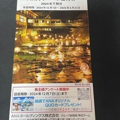 ANAグループ優待券