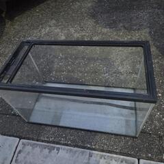 水槽KOTOBUKI難アリ