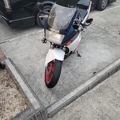 ご成立！　ありがとうございました！の画像