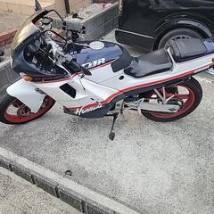 ご成立！　ありがとうございました！の画像