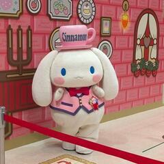 シナモロール推しの人と繋がりたい！