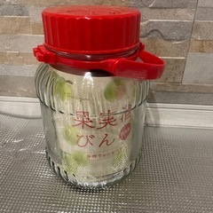 果実酒びん梅酒びん梅干しらっきょう
3Lと4L複数有り　新品未使用