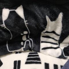 こたつ布団　黒地に白のネコ柄の画像