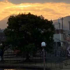 全国旅仲間グルチャ！