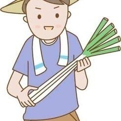 ネギ収穫のお手伝いのお願い