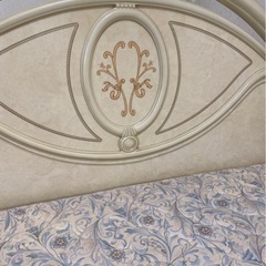 サルタレッリ　フローレンスの画像