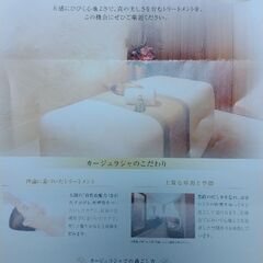 《期限切れのため出品終了・処分済み》【値引き交渉可】カジューラジ...